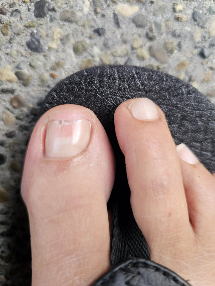 Review by Kendice Z.